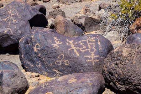Téléchargez les photos : Site de Petroglyph, près de Gila Bend, Arizona, USA - en image libre de droit