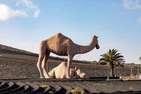 Foto de Uga, Spain- February 1, 2023: statue of Camels at a roundabout near Yaiza, Lanzarote, Spain. Camels are used for tourist safaris in Timanfaya national park. - Imagen libre de derechos