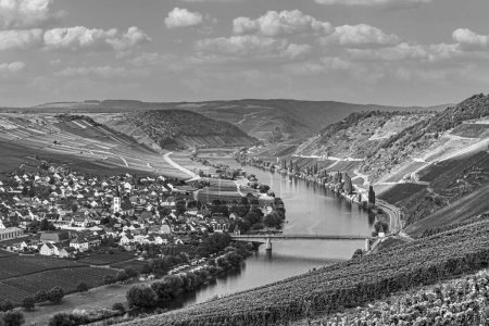 Photo for Famous Moselle river Bend in Trittenheim, Germany - Royalty Free Image