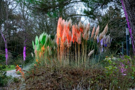 Foto de Frankfurt, Alemania - 28 de diciembre de 2022: luz colorida en la naturaleza en Winterlichter - engl: luz de invierno - en Frankfurt Palm garden. - Imagen libre de derechos