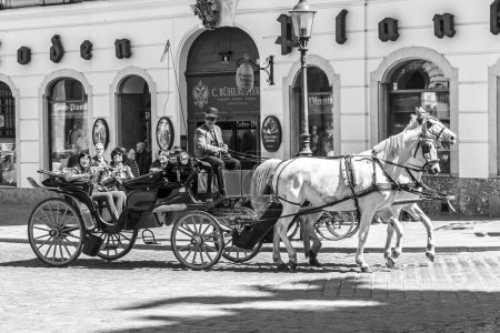 Téléchargez les photos : Vienne, Autriche - 24 avril 2015 : Centre-ville Vue de rue, promenades à pied et à cheval blanc à Vienne, Autriche - en image libre de droit