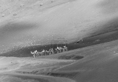 Téléchargez les photos : Tourists on a camel safari in Timanfaya National Park in Yaiza, Spain. Camel riding in Timanfaya is a must for tourists. - en image libre de droit
