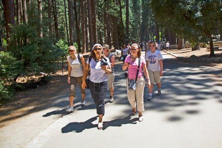 Photo for Yosemite national Park, USA - July 22, 2008: people enjoy the yosemite valley on a walk to the waterfall. - Royalty Free Image