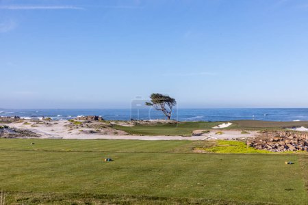 Téléchargez les photos : Parcours de golf pittoresque sur la côte pacifique à Pebble Beach, États-Unis - en image libre de droit