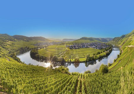 Téléchargez les photos : Boucle pittoresque de la Moselle à Leiwen, Trittenheim en Allemagne - en image libre de droit