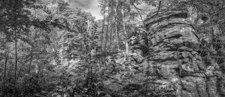 Foto de Paisaje escénico en los Vosgos en la región de Alsacia en Francia con rocas y bosque salvaje, Francia - Imagen libre de derechos