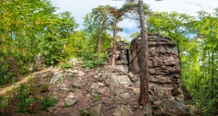 Photo for Scenic landscape in the Vosges in Alsace region in France with rocks and wild forest, France - Royalty Free Image
