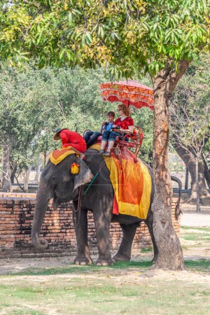 Photo for Ayutthaya, Thailand - December 24, 2009: tourists enjoy the elephant ride guided by a mahout in Ayutthaya. - Royalty Free Image