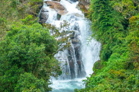 Téléchargez les photos : Cloudbridge est une réserve naturelle privée qui s'étend de 1550m à 2600m (5085-8530 ft) dans les montagnes Talamanca du Costa Rica - en image libre de droit