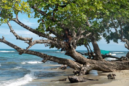 Foto de Playa pintoresca de Cocles en el lado caribeño de Costa Rica, Puerto Viejo de Talamanca - Imagen libre de derechos