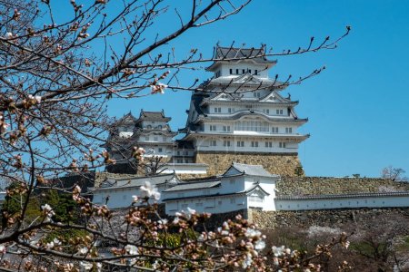 Foto de Castillo de Himeji en el cielo azul en la ciudad de Himeji, prefectura de Hyogo de Japón. - Imagen libre de derechos