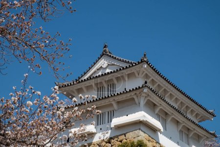 Téléchargez les photos : Himeji Castle dans le ciel bleu de la ville de Himeji, préfecture de Hyogo au Japon. - en image libre de droit