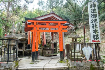 Photo for Kyoto, Japan - March 24, 2023: Columns at the iconic Fushimi Inari Shrine - Royalty Free Image