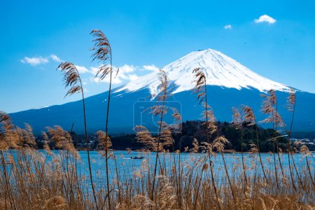 Photo for Scenic view of Mount Fuji in Japan - Royalty Free Image