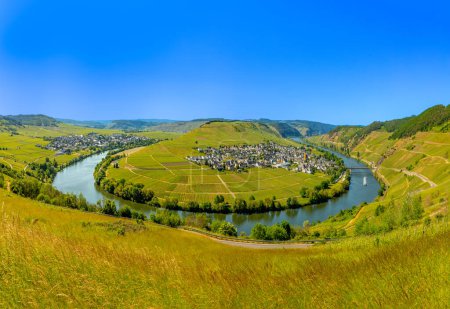 Téléchargez les photos : Boucle pittoresque de la rivière Moselle à Trittenheim, Allemagne avec des vignobles verts - en image libre de droit