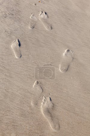 Téléchargez les photos : Empreintes de pas à la plage dans le sable fin - en image libre de droit