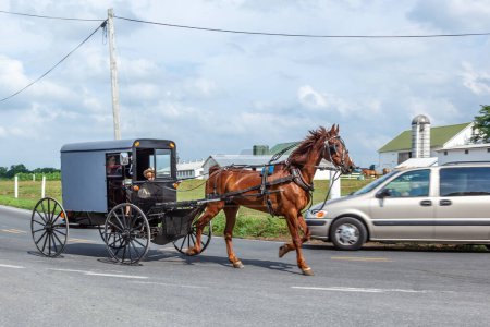 Téléchargez les photos : LANCASTER, USA - 13 JUILLET 2010 : amish people ride in their horse carts in Lancaster, USA. Les Amish n'utilisent pas aussi bien l'électricité que les voitures. Ils vivent à la manière traditionnelle du XVIIe siècle
. - en image libre de droit