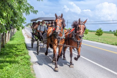 Foto de LANCASTER, Estados Unidos - 13 de julio de 2010: la gente amish monta en sus carritos de caballos en Lancaster, Estados Unidos. Los amish no usan tanto la electricidad como los autos. Viven a la manera tradicional del siglo XVII
. - Imagen libre de derechos