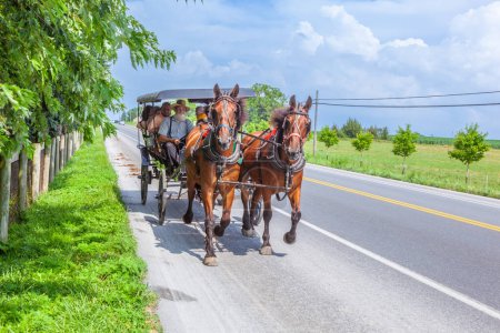 Téléchargez les photos : LANCASTER, USA - 13 JUILLET 2010 : amish people ride in their horse carts in Lancaster, USA. Les Amish n'utilisent pas aussi bien l'électricité que les voitures. Ils vivent à la manière traditionnelle du XVIIe siècle
. - en image libre de droit