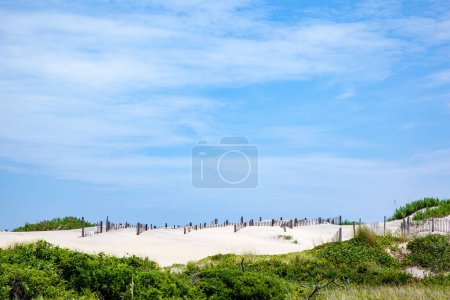 Photo for Dunes are protwected by wooden fences against storm and flood in Bodie island at Nags Head, USA. - Royalty Free Image