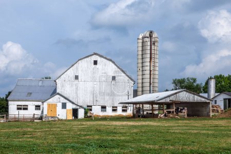 Foto de Casa de campo con campo y silo en hermoso paisaje - Imagen libre de derechos