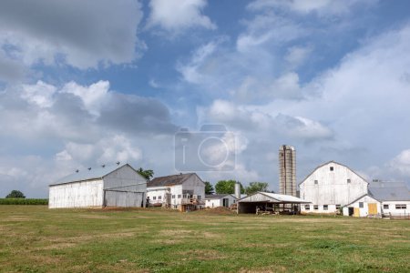 Foto de Casa de campo con campo y silo en hermoso paisaje - Imagen libre de derechos