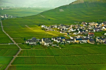 Téléchargez les photos : Village de Trittenheim dans les vignes au bord de la rivière Moselle - en image libre de droit