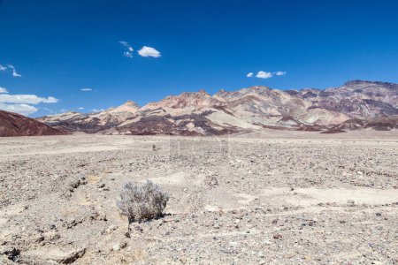 Téléchargez les photos : Désert dans la vallée de la mort avec des montagnes et un buisson dans le sol sous le ciel bleu, États-Unis - en image libre de droit