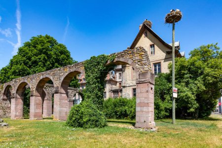 Téléchargez les photos : Ruines du cloître de l'abbaye de Munster, France - en image libre de droit