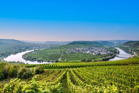 Photo for Famous Mosel river loop in Trittenheim, germany - Royalty Free Image