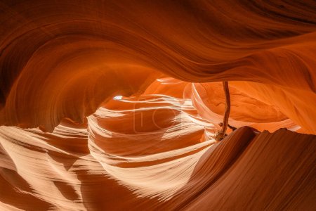 Téléchargez les photos : Pittoresque Antelope Slot Canyon à Page Arizona - en image libre de droit