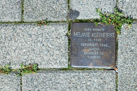 Photo for Wiesbaden, Germany - August 10, 2023: Stolperstein (Stumbling Block) in Wiesbaden memorials on the pavements to victims of Nazi oppression. - Royalty Free Image