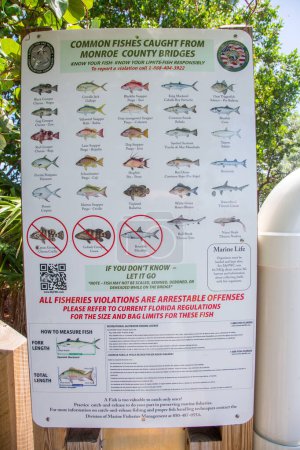 Téléchargez les photos : Monroe, États-Unis - 26 août 2014 : signature avec permis et interdictions de capture de poissons dans le comté de Monroe, Floride. - en image libre de droit