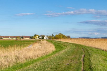 Téléchargez les photos : Paysage rural avec champs et arbres à Usedom sous le ciel bleu avec des maisons à l'horizon, Allemagne - en image libre de droit