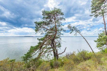 Téléchargez les photos : Falaise escarpée romantique avec lac à Gnitz à Usedom - en image libre de droit