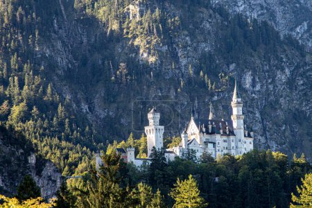 Téléchargez les photos : Château de Neuschwanstein à partir de Mariannen bridge dans la région d'Allgau en Allemagne - en image libre de droit