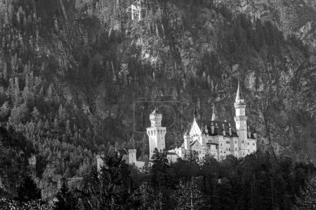 Photo for Neuschwanstein castle seen from Mariannen bridge in the Allgau region in Germany - Royalty Free Image
