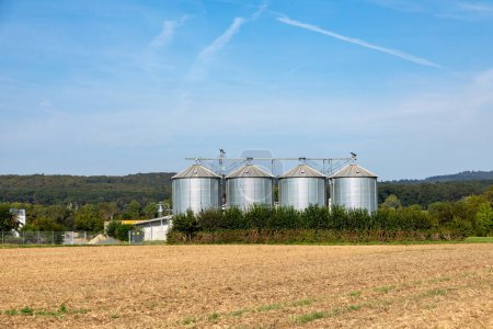 Téléchargez les photos : Quatre silos en zone rurale au champ au printemps avec champ vert au premier plan et ciel bleu - en image libre de droit