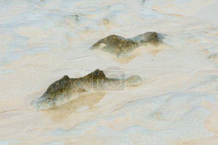 Photo for Scenic beach dunes created by the low tide - Royalty Free Image