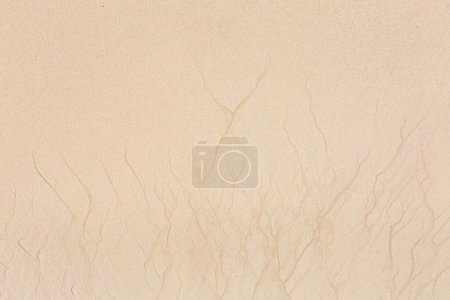 Photo for Scenic pattern at the beach created by the low tide - Royalty Free Image