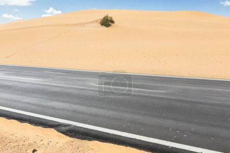 Photo for Desert Road in Fuerteventura  the Dunes of Corralejo - Royalty Free Image
