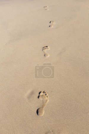 Photo for Human footprint on sand summer tropical beach background with copyspace. - Royalty Free Image