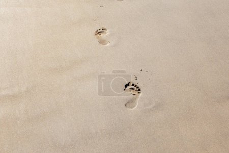 Téléchargez les photos : Empreinte humaine sur sable été plage tropicale fond avec copyspace. - en image libre de droit