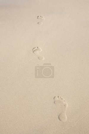 Téléchargez les photos : Empreinte humaine sur sable été plage tropicale fond avec copyspace. - en image libre de droit