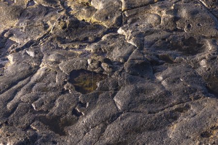 Téléchargez les photos : Détail de rocher lavé par la mer à Lanzarote - en image libre de droit