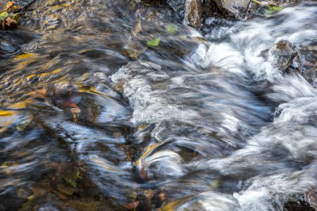 Photo for Close up stream in small mountain river. - Royalty Free Image