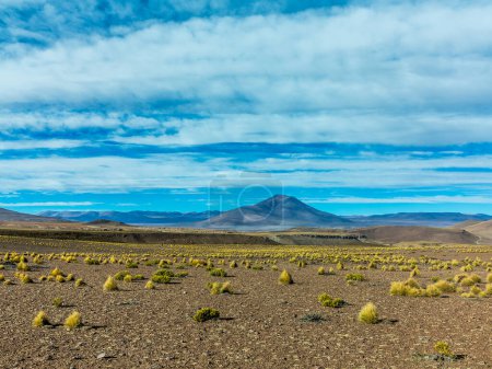 Foto de Señal de paso de Lama en el desierto de Atacama, Bolivia - Imagen libre de derechos
