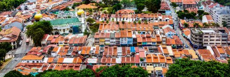 Photo for Skyline of Singapore with roof of old houses in chinatown - Royalty Free Image