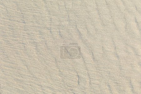 Téléchargez les photos : Modèle de sable avec de l'eau à la plage dans une structure harmonique - en image libre de droit