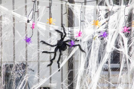 Photo for Spider at a halloween net at the fence, Houston, USA - Royalty Free Image